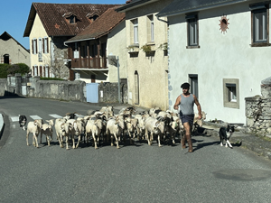 Sexy Schäfer in Buzy, Nouvelle-Aquitaine
