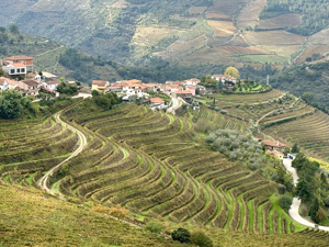 UNESO-Welterbe: das Weinanbaugebiet Alto Douro im Norden Portugals