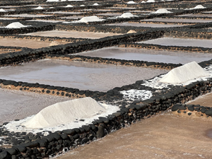 Salzgewinnung in den Salinas del Carmen auf Fuerteventura