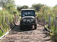 Third Bridge, Moremi