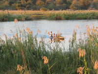 Kleiner Grenzverkehr am Okavango