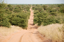 Der einsame und lange Weg zum Kgalagadi