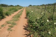 Am Kuke-Fence