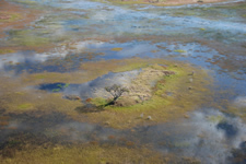 Okavango-Delta