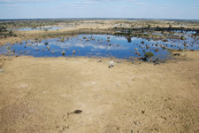 Okavango-Delta