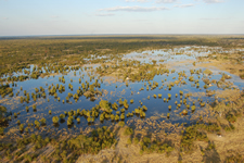 Okavango-Delta