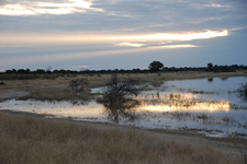 Abendstimmung im Moremi