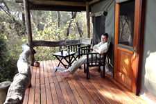 Motsentsela Tree Lodge