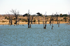 Mandavu Stausee