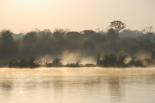 Morgenstimmung am Fluss