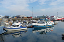 Im Hafen von Reykjavik