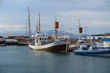 Im Hafen von Husavik