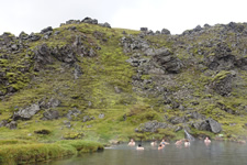 Hot Pot von Landmannalaugar 