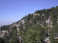 McLeodGanj, das Exil des Dalai Lama