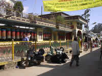 Tibetanischer Tempel mit Gebetsmühlen, McLeodGanj