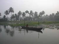 Vor Sonnenaufgang in den Backwaters