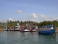 Fischerboote in einem kleinen Hafen bei Chumphon