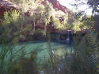 Fern Pool im Karijini Nationalpark