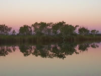 Abendstimmung am Deep Reach Pool im Millstream-Chichester Nationalpark