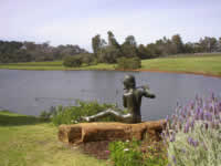 Auf dem Weingut "Brookland Valley Vineyard" bei Margaret River