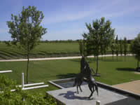 Die Weinberge der Kellerei Rymill in Coonawarra