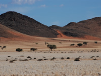 Letzter Blick auf die Tirasberge