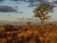 Landschaft in Zentral-Namibia