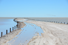 Etosha-Pfanne