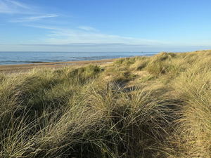 Schon bald scheint die Sonne wieder auf den Juno Beach