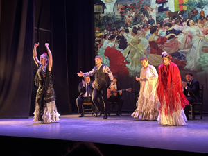 Besuch des Teatro Flamenco Sevilla