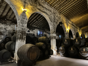 Besuch in der Bodega Osborne