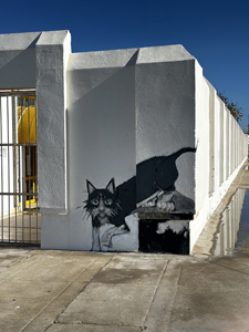 Kein Banksy, aber trotzdem sch&ouml;n: Katzen-Graffiti in C&aacute;diz
