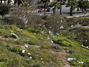 Plastikm&uuml;ll am Strassenrand