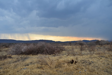 Abendstimmung im Madikwe Game Reserve