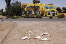 Die Lagoon Lodge in Walvis Bay