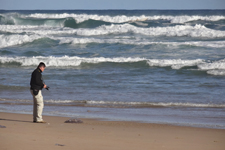 Quallen am Strand von Wilderness